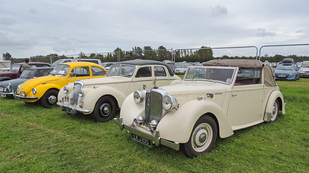 Line up of classic cars in a field